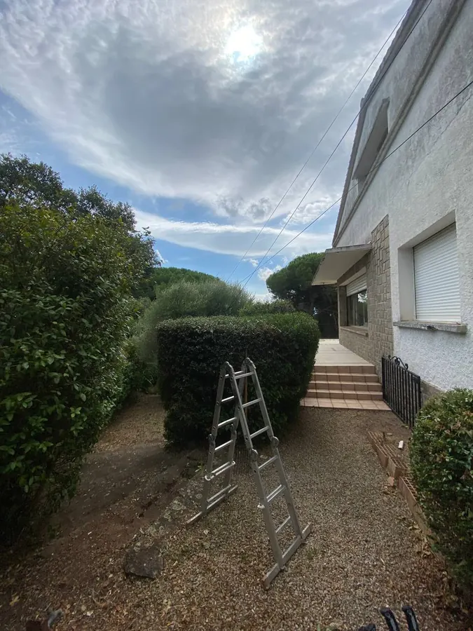 Échelle appuyée contre une haie taillée en forme arrondie devant une maison